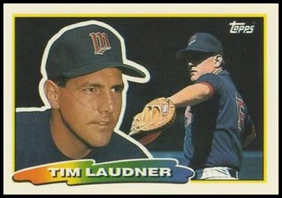 243 Tim Laudner